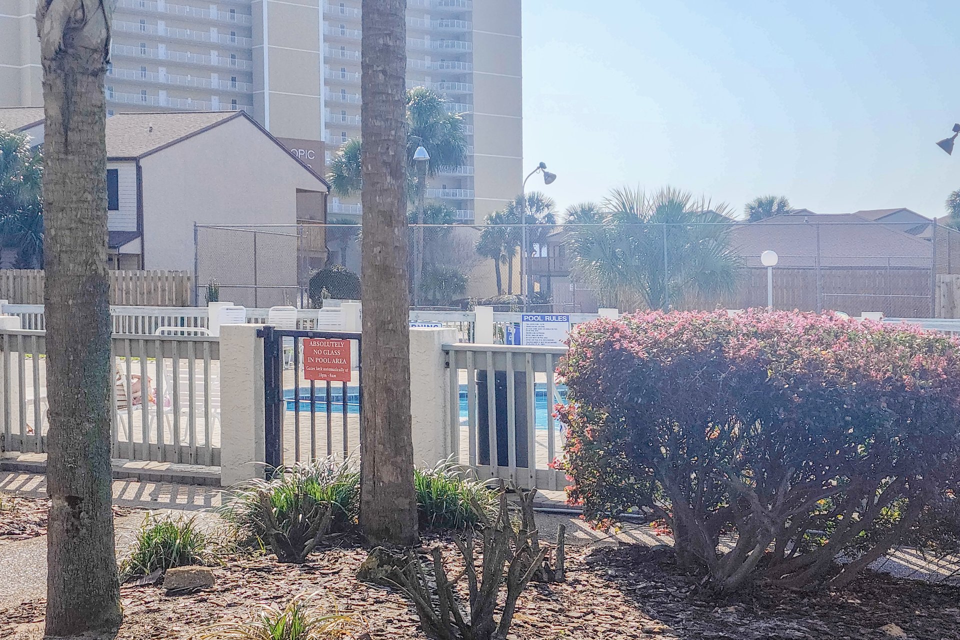 Endless Summer D5 19