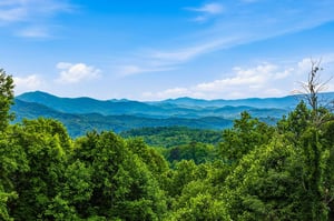 Majestic mountain ranges layered in shades of blue stretch across the horizon, framed by lush green forest under a clear summer sky.
