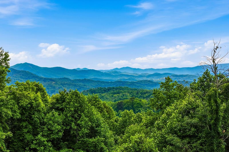 Majestic mountain ranges layered in shades of blue stretch across the horizon, framed by lush green forest under a clear summer sky.