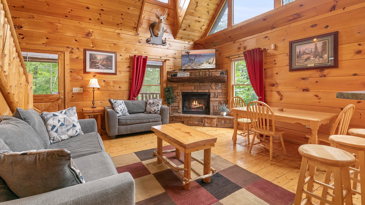 Living Room Fireplace Area