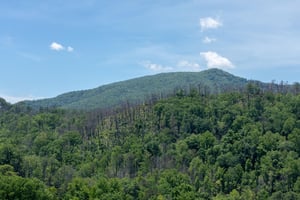 elkhornlodge43