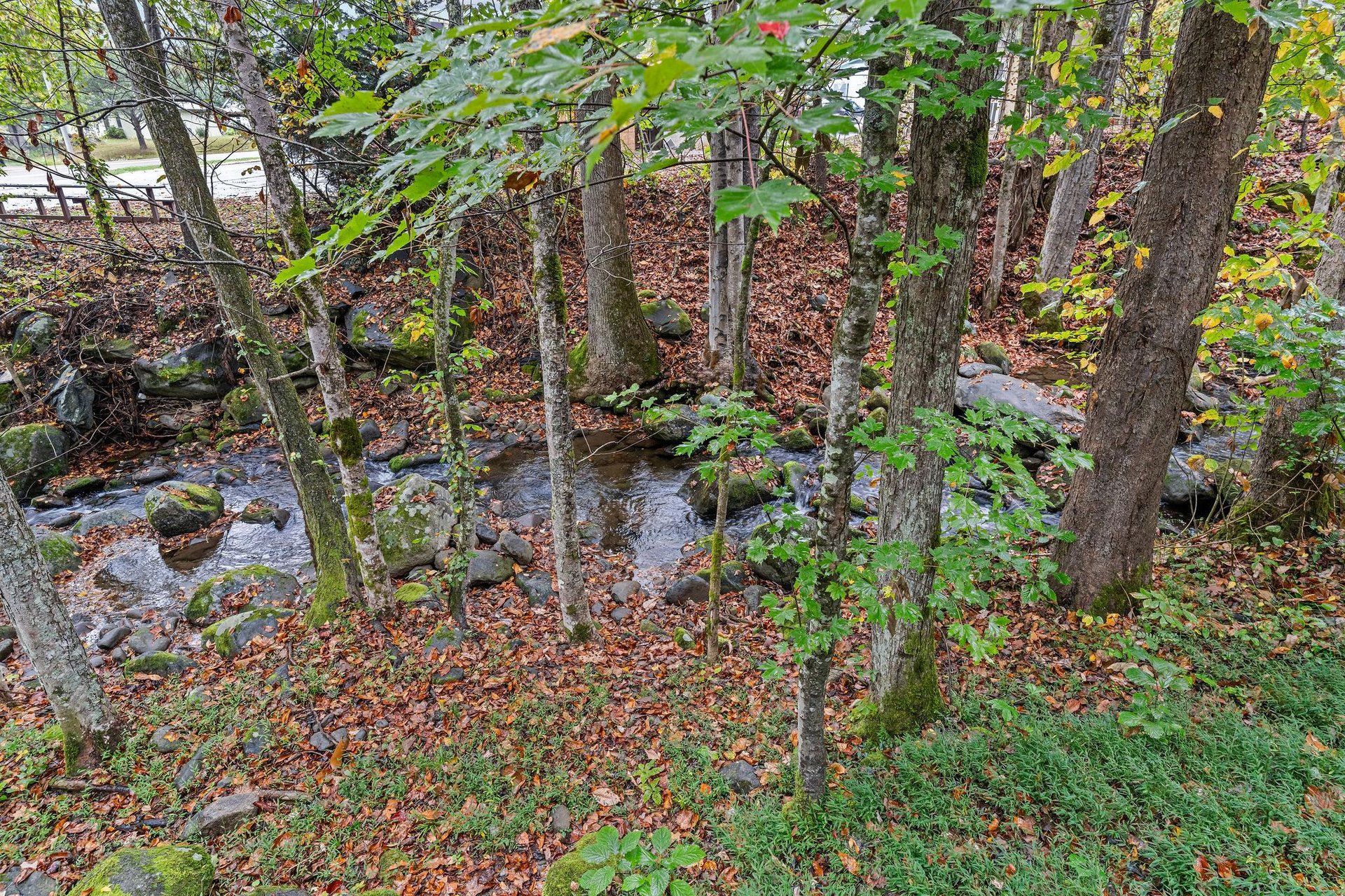 littlebirdcabin19