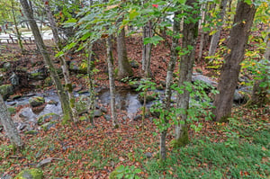 littlebirdcabin19