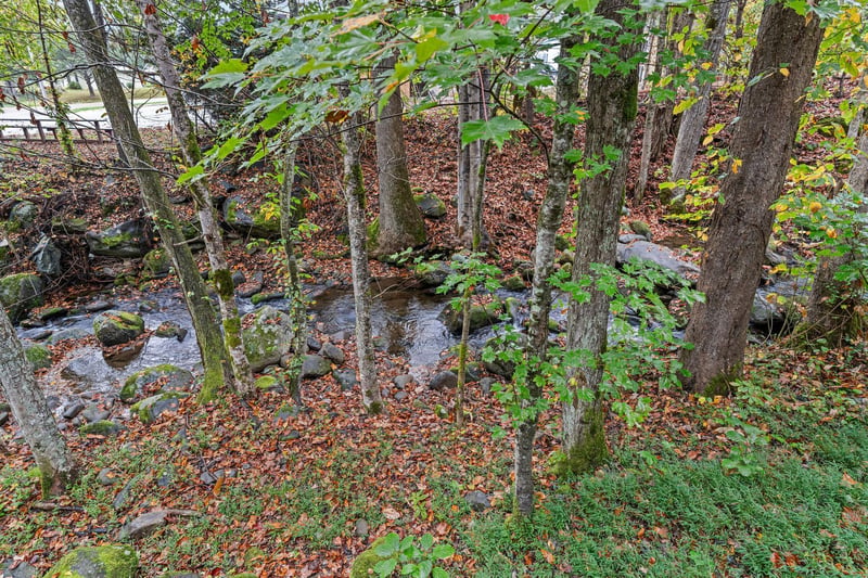 littlebirdcabin19
