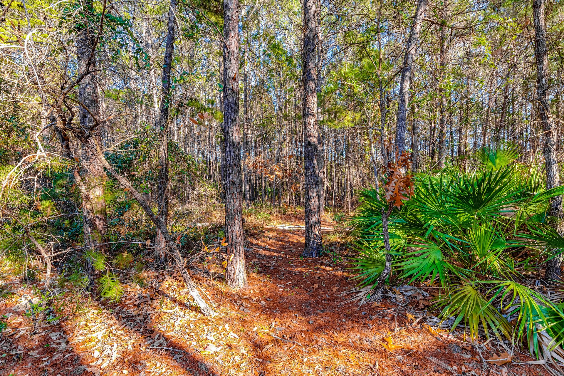 Sugar Breeze at Highland Parks 30A 44