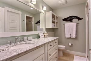 Private King Bathroom