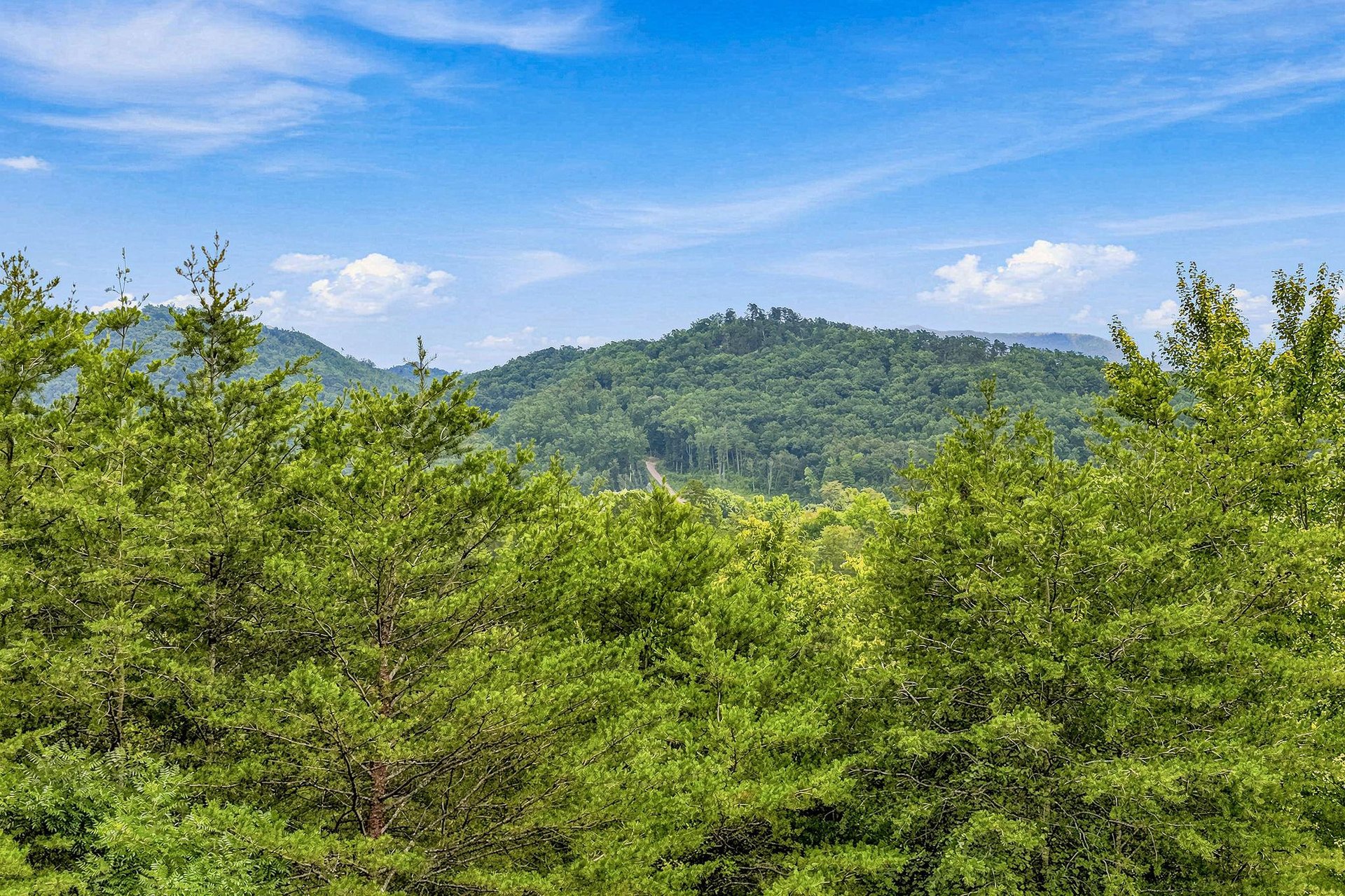 The property is surrounded by rolling, forested mountains and lush greenery—a peaceful backdrop that defines the areas natural charm.