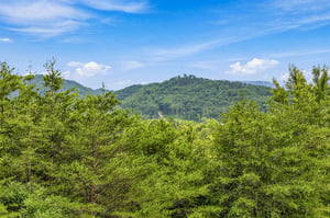 The property is surrounded by rolling, forested mountains and lush greenery—a peaceful backdrop that defines the areas natural charm.
