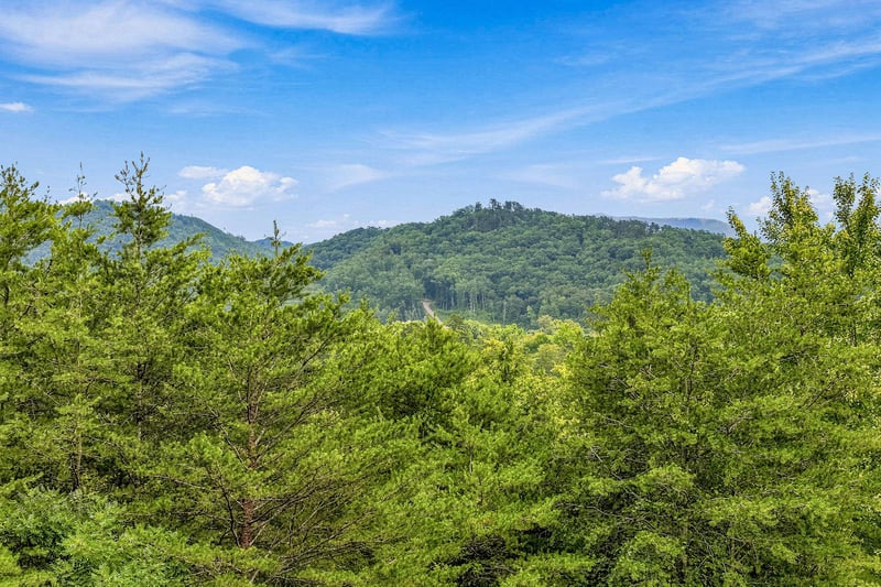The property is surrounded by rolling, forested mountains and lush greenery—a peaceful backdrop that defines the areas natural charm.