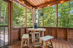 Settle into your private screened porch surrounded by towering trees, where rustic log furniture and soft lighting create a peaceful escape for morning coffee or evening relaxation.