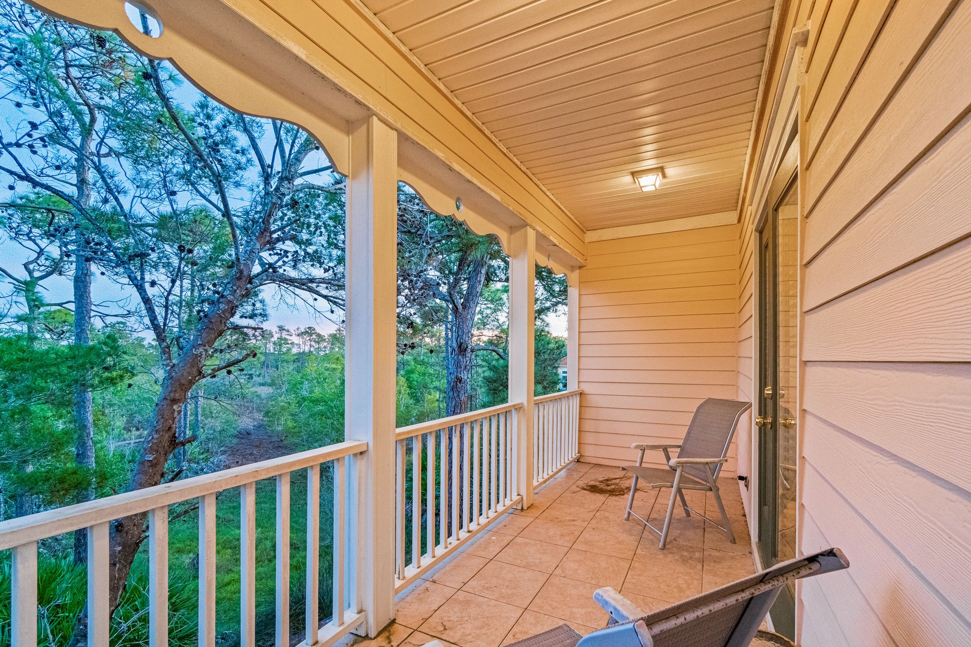 Mandevilla at Martinique 4