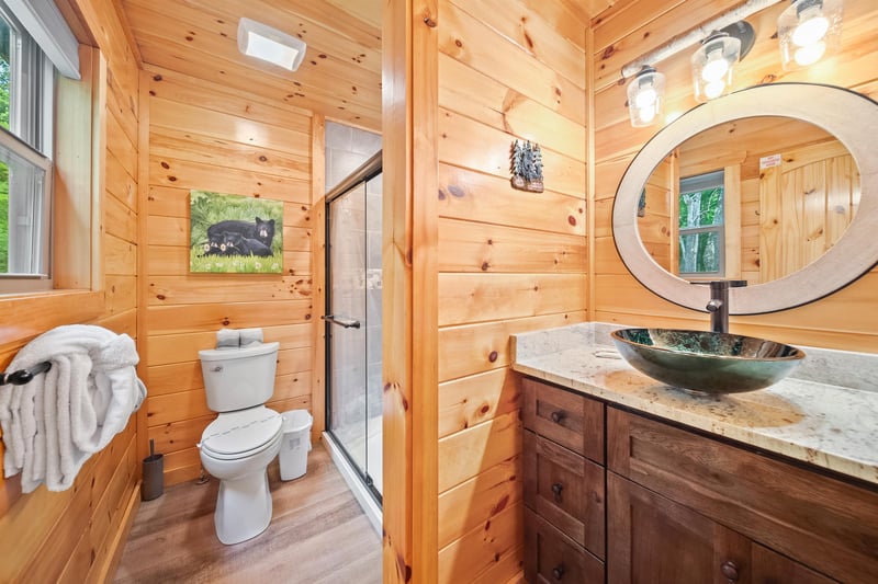 walk in shower with single vanity bowl sink