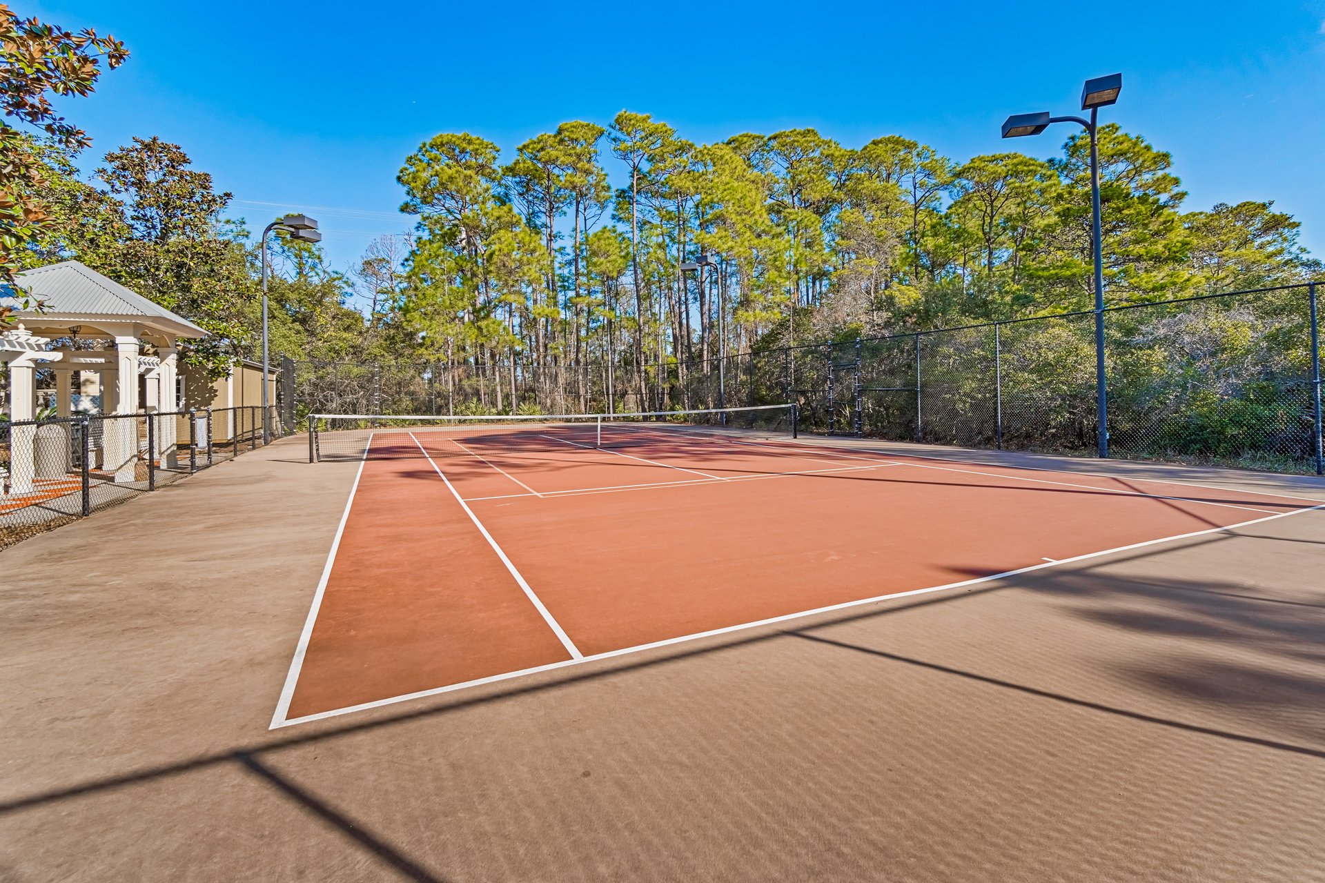 Mandevilla at Martinique 36