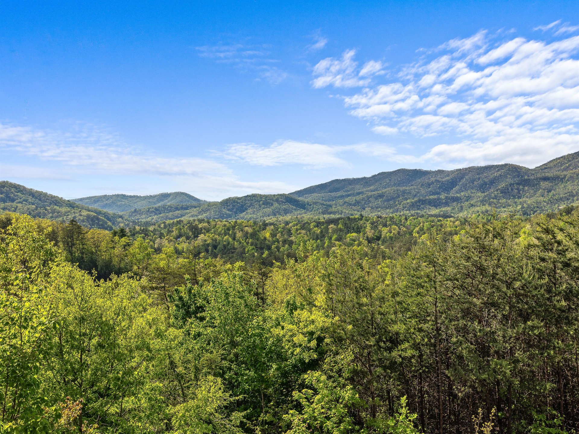 View from Mountain Bliss cabin