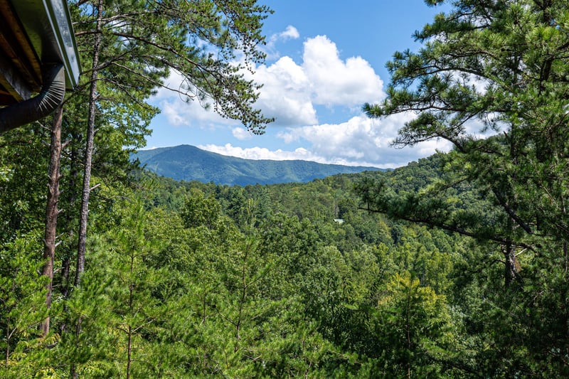 mountain views