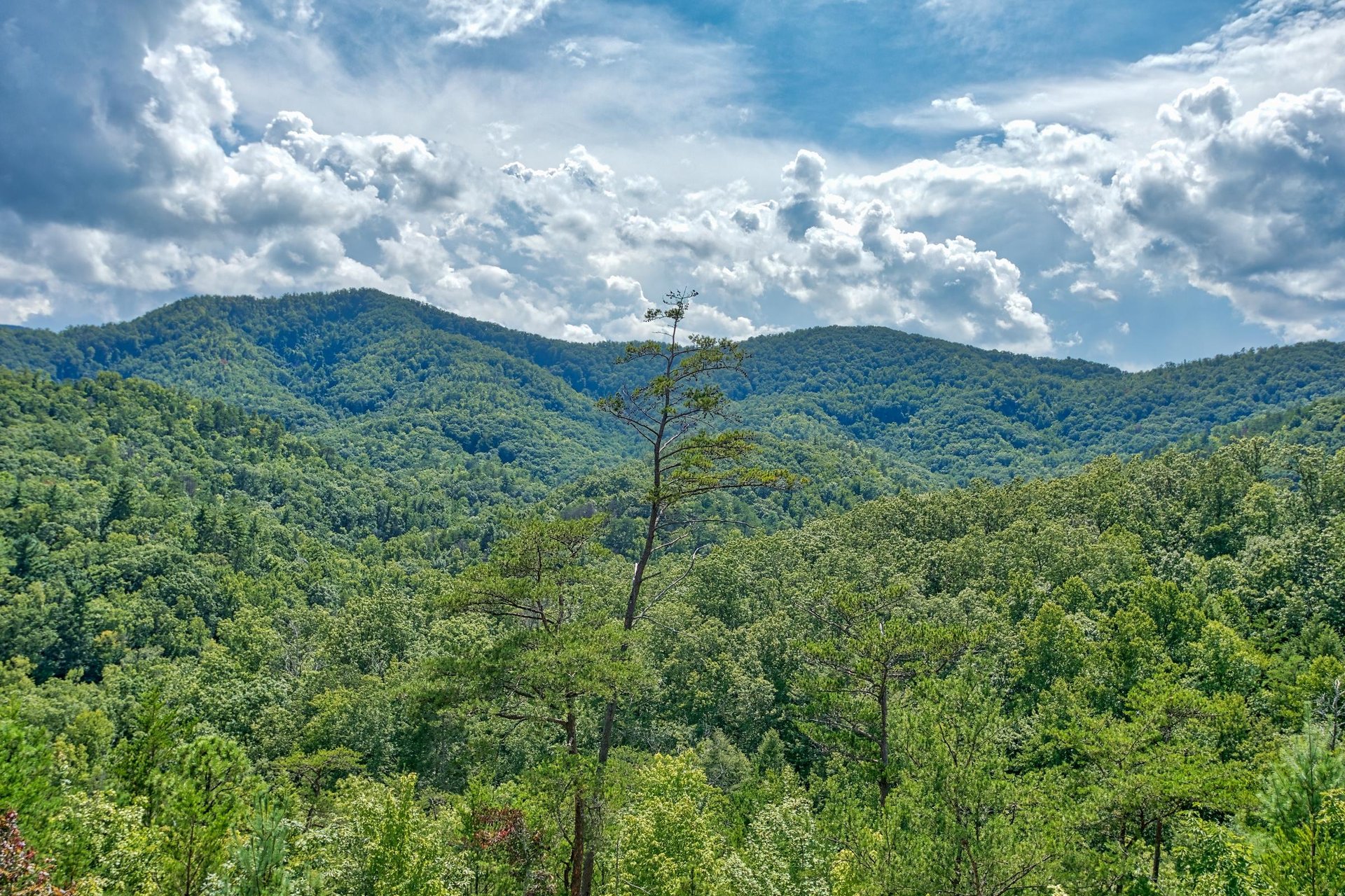 Mountain views at Four Seasons Lodge, a 3bedroom cabin rental located in Pigeon Forge