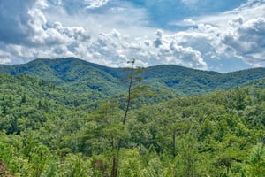 Mountain views at Four Seasons Lodge, a 3bedroom cabin rental located in Pigeon Forge