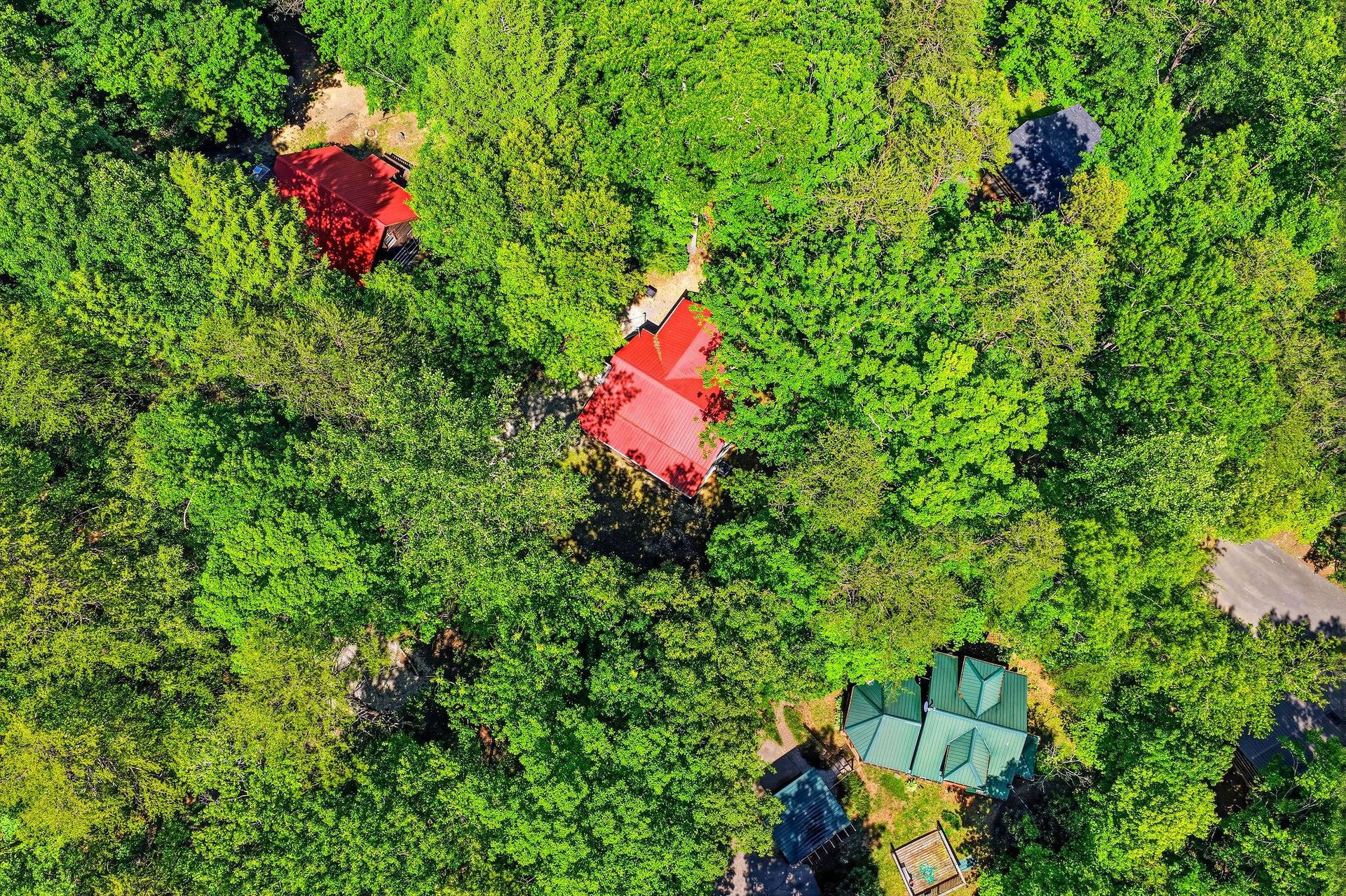 Aerial view showcasing the property nestled within lush tropical forest, with distinctly colored rooflines marking each building amid dense greenery.