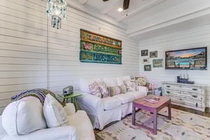 Living Area With Sleeper Sofa