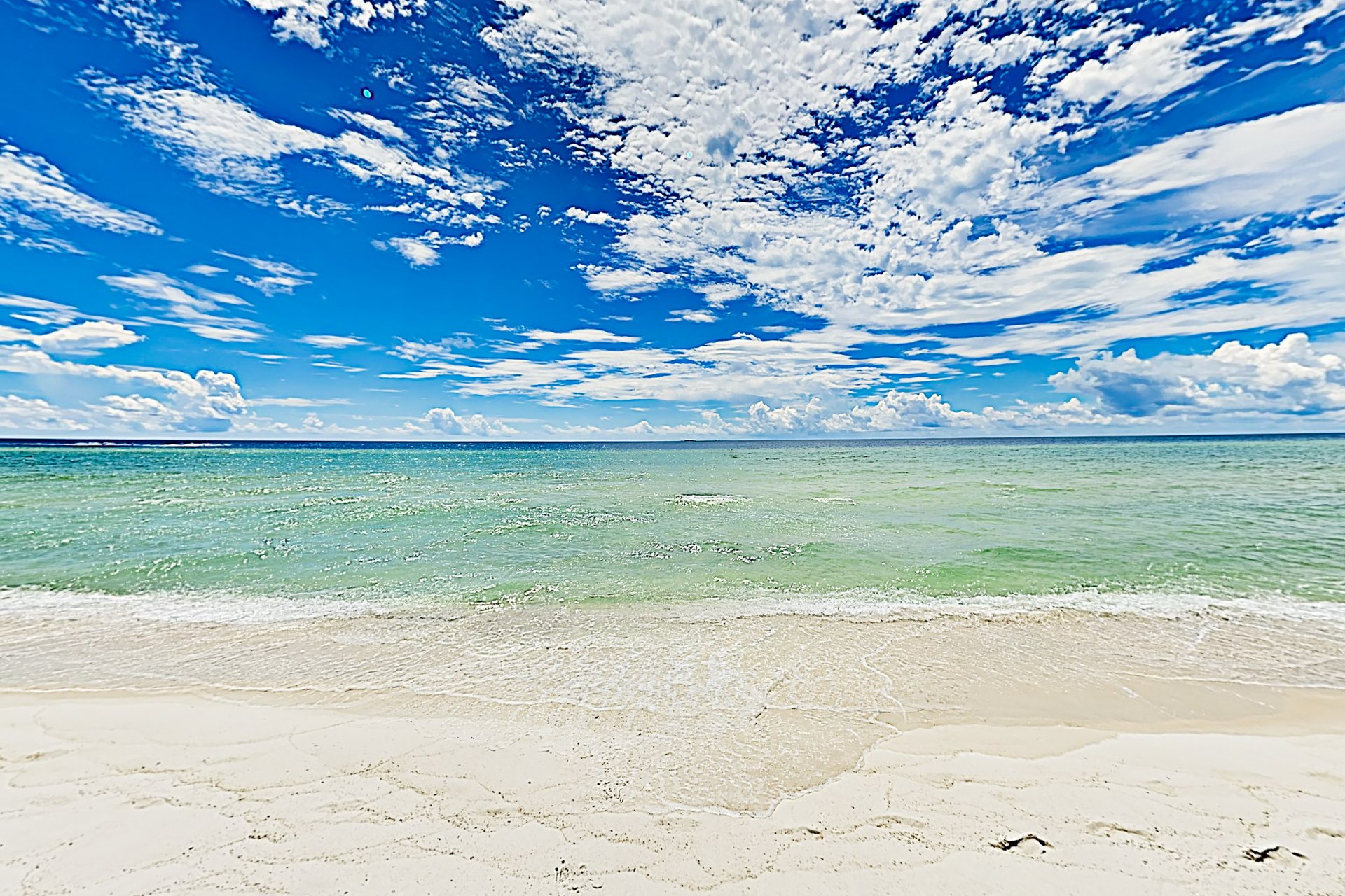 Needle Rush Point A23 22