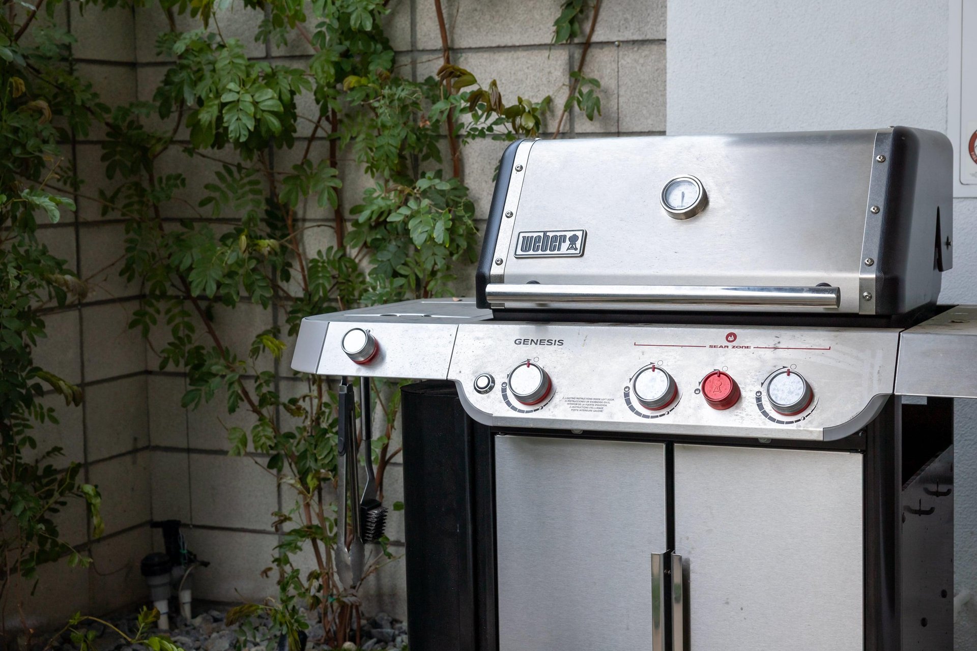 Fire up your culinary adventure