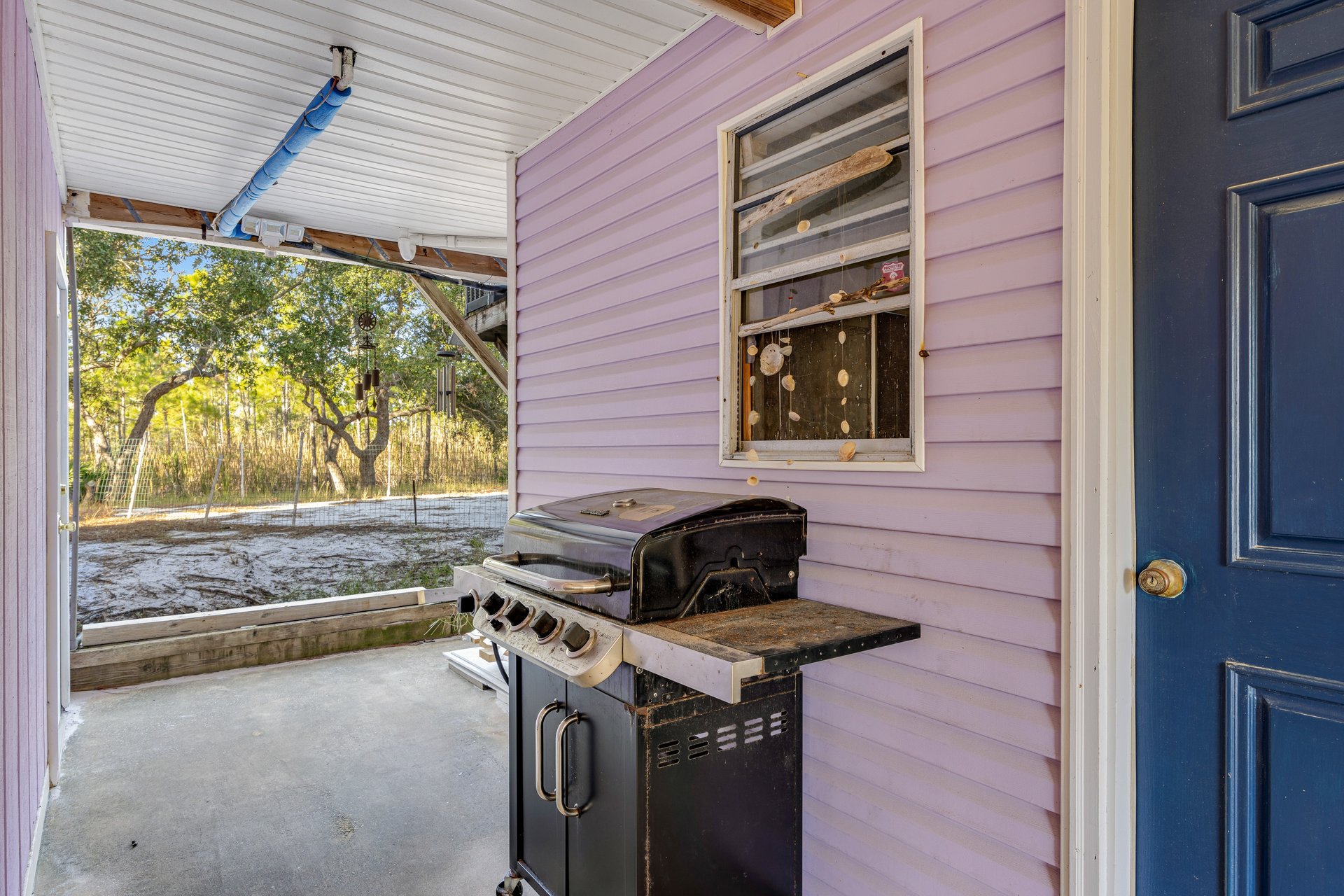 The Purple Palmetto 27