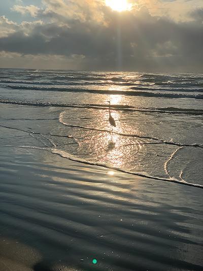 c069995105644cf8938b634b440c7ce7small