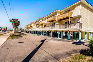 Sand Dollar 14 25
