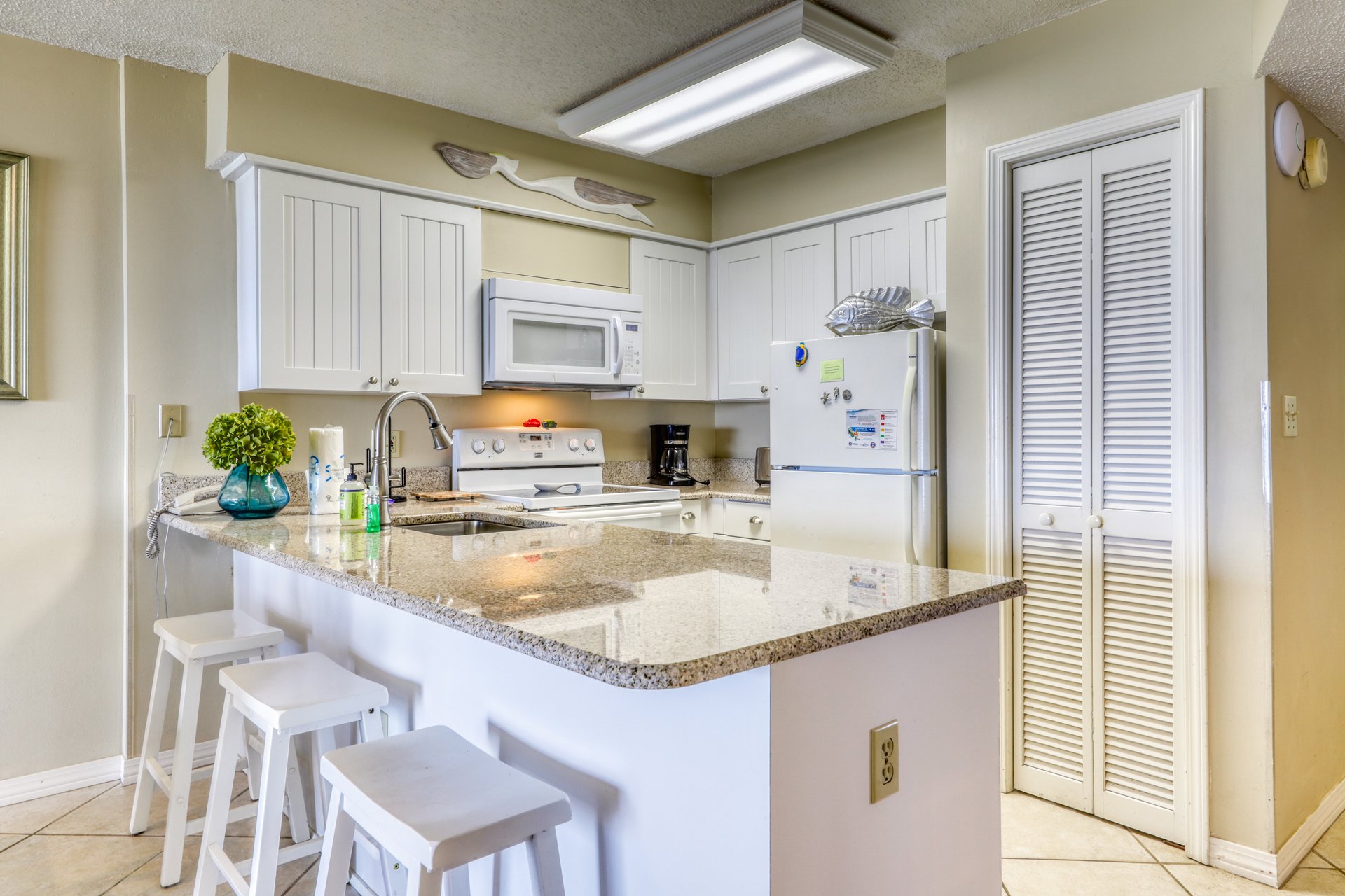 Plantation Palms 6511 16