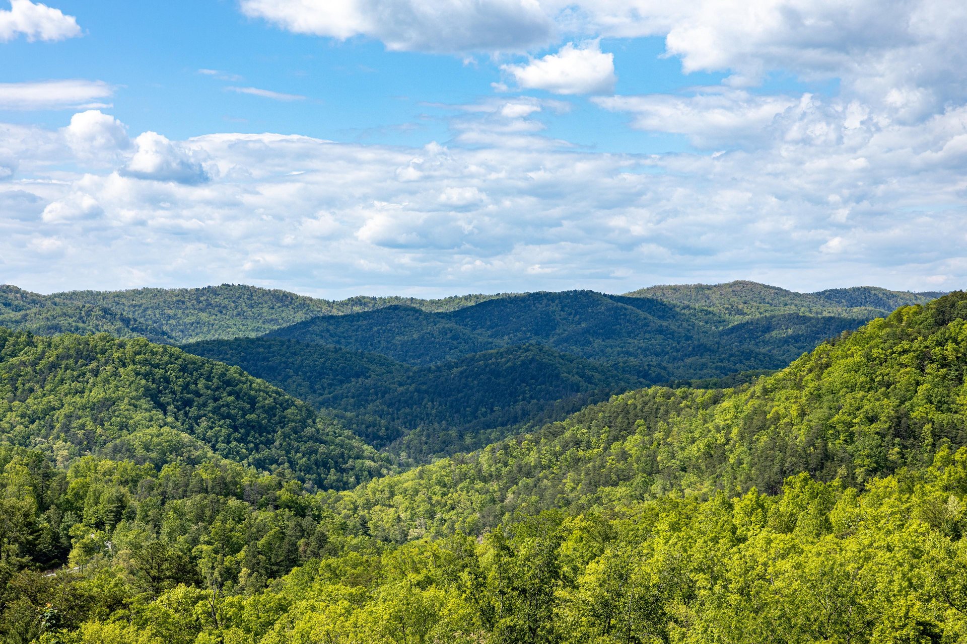 View from Heavenly Homestead cabin