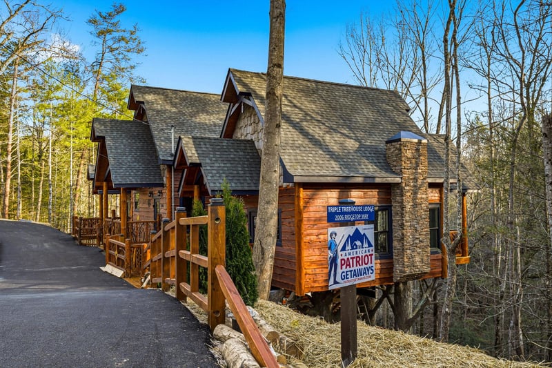 Rustic mountain lodge nestled among towering trees offers peaceful woodland retreat with stone chimney and wraparound decks.