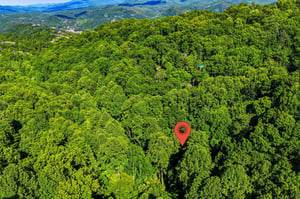 The property sits nestled in lush mountain forest, surrounded by rolling ridges and pristine wilderness as far as the eye can see.