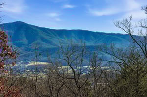 Mountain views stretch across the valley with forested hills and clear blue skies in this scenic location.