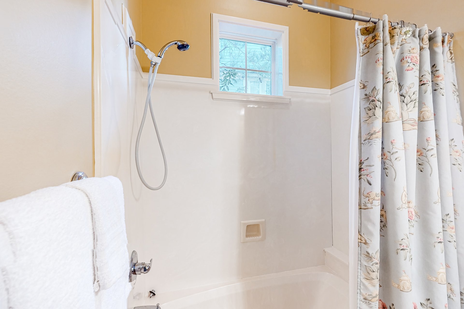 Mandevilla at Martinique 19