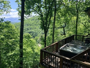 Soak in your private hot tub surrounded by lush forest and breathtaking mountain vistas—the perfect spot to unwind after a day of adventure.