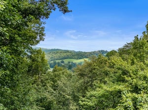 aerial views around Moonshiners Ridge
