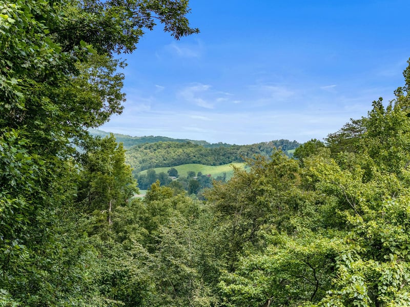 aerial views around Moonshiners Ridge