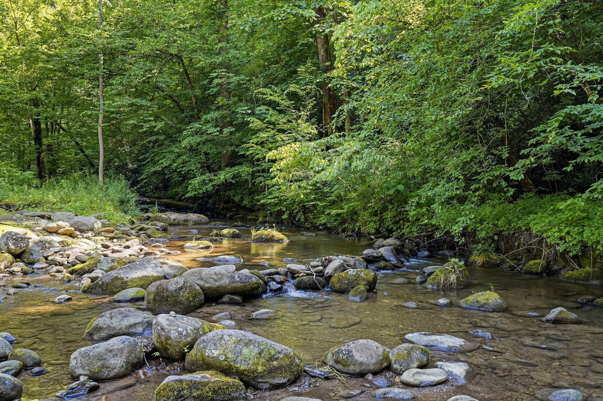 A peaceful river meanders through lush forest, its mosscovered stones and gentle flow creating a serene natural backdrop near the property.