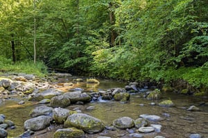 A peaceful river meanders through lush forest, its mosscovered stones and gentle flow creating a serene natural backdrop near the property.