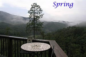 Spring View from Rear Deck