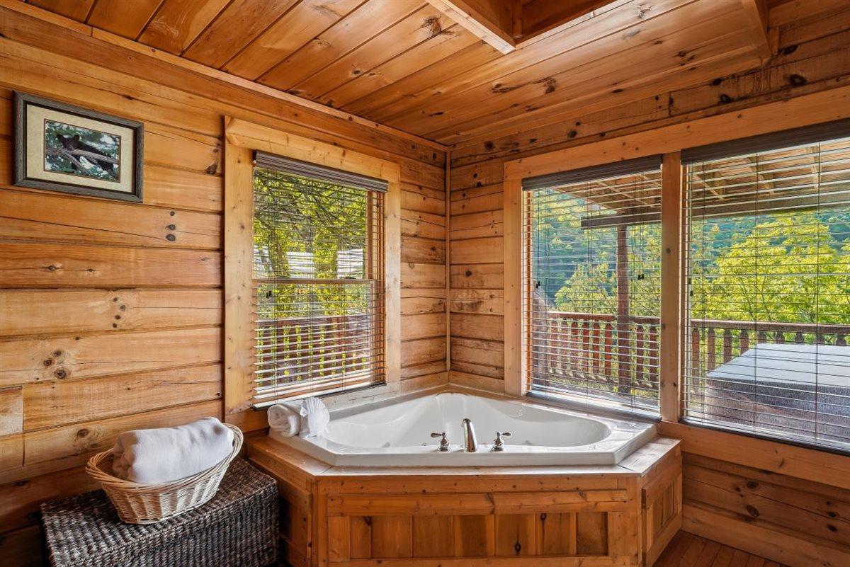 Main LevelBedroom