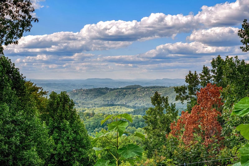 Views from Heavenly Haven