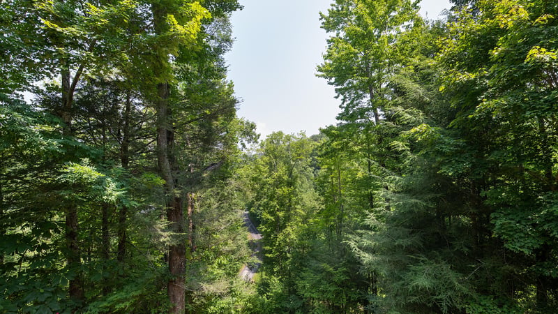 at hooked on bears a 2 bedroom cabin rental located in pigeon forge