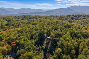 otterbeswimmingfall11