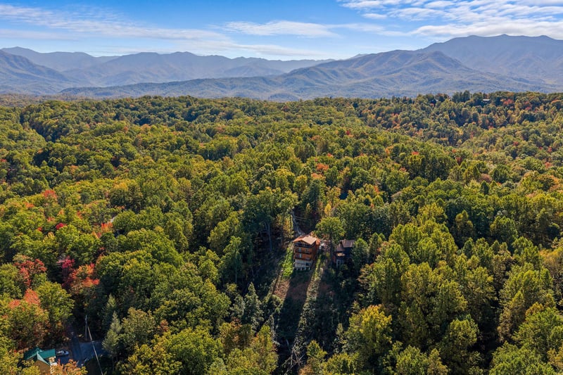 otterbeswimmingfall11