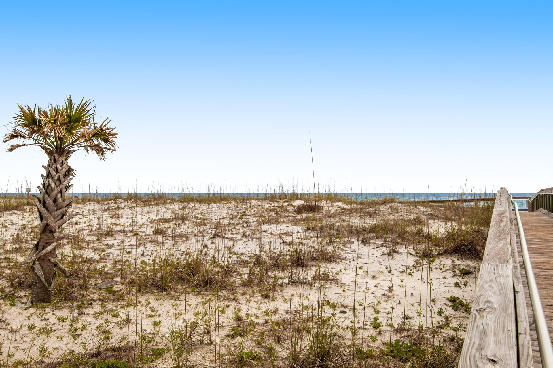 Portofino Island Resort amp Spa Tower 11402 50