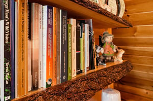 Browse a curated collection of local guides and travel stories on rustic barkedged shelves, perfect for planning your next adventure.