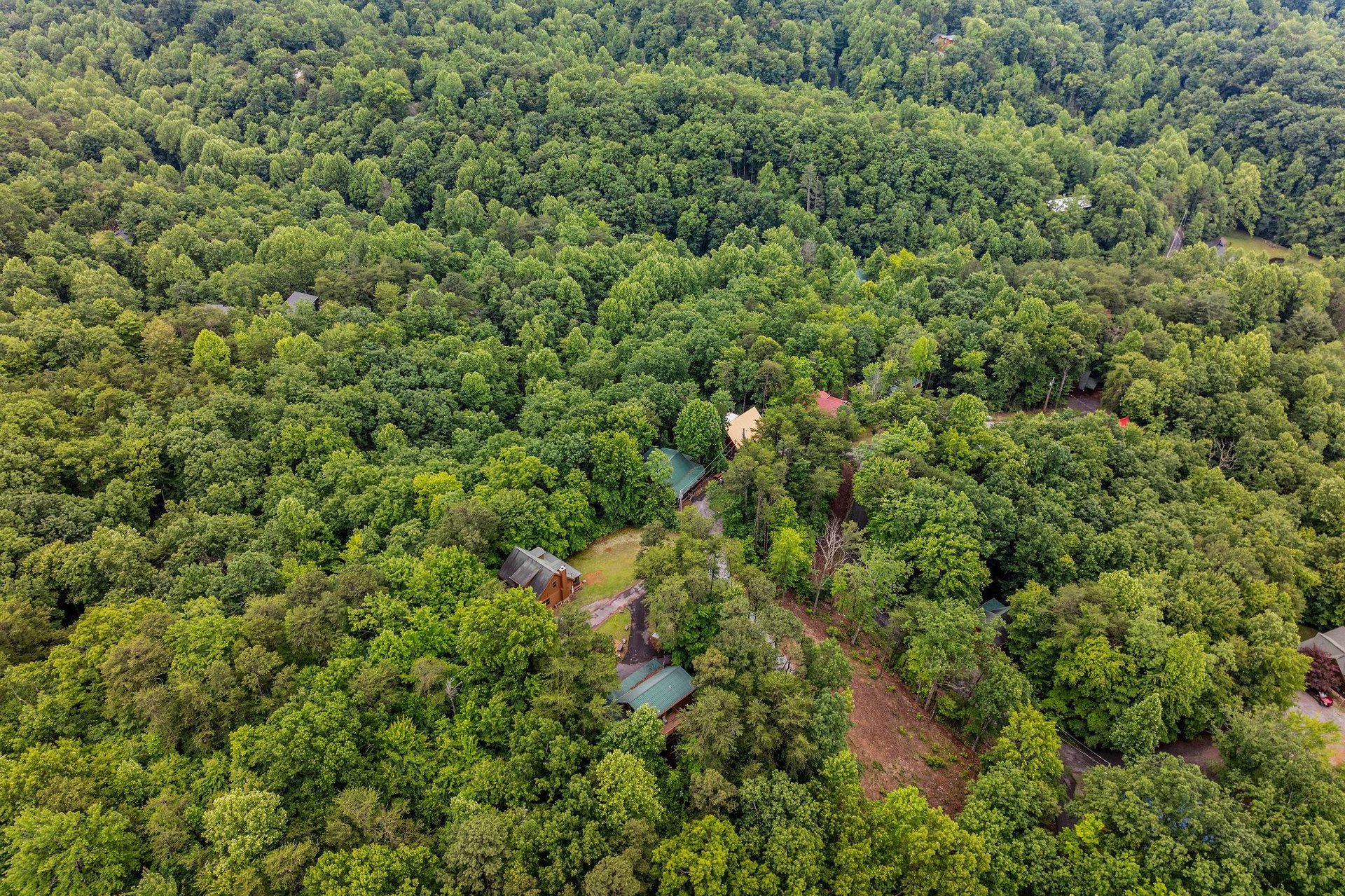 Aerial view of Moonlit Pines