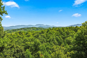 Stunning mountain ridges rise above lush green forests under a bright blue sky—a serene backdrop to the propertys natural surroundings.