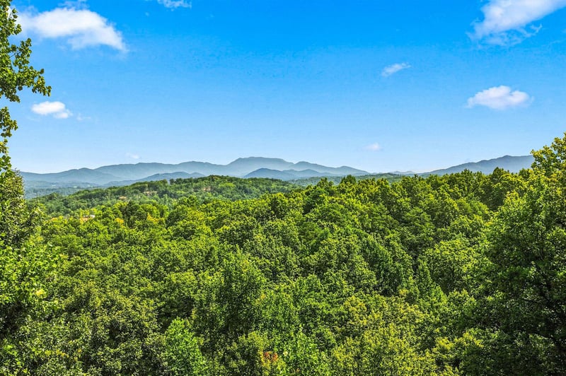 Stunning mountain ridges rise above lush green forests under a bright blue sky—a serene backdrop to the propertys natural surroundings.